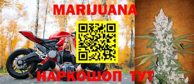 гидра Бийск