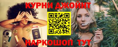 гидра Бийск