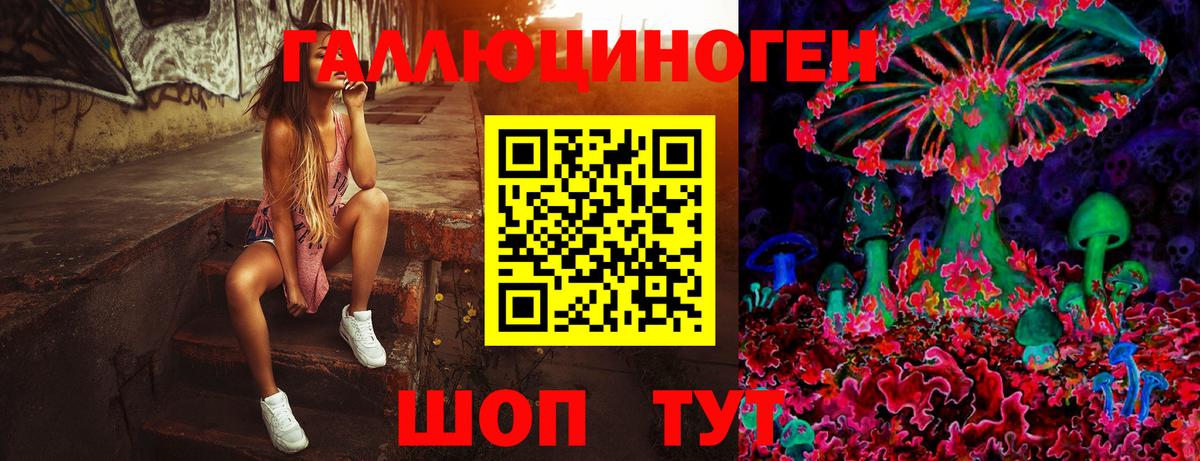 Галлюциногенные грибы мицелий Керчь